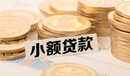 东莞周转哪里有小额贷款-东莞周转身份证贷款平台-东莞周转民间短借
